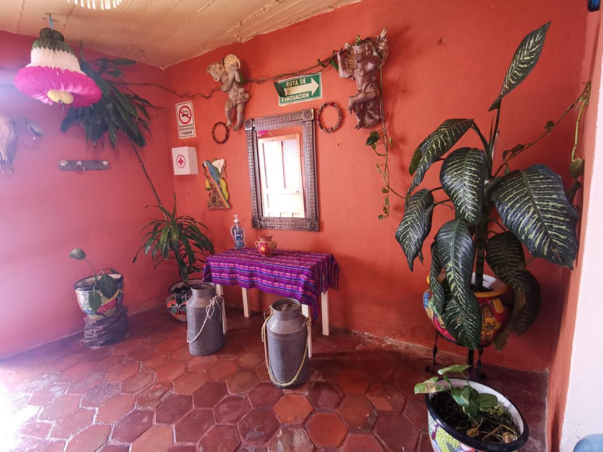 La Casa del Abuelo Ostello San Miguel de Allende Esterno foto